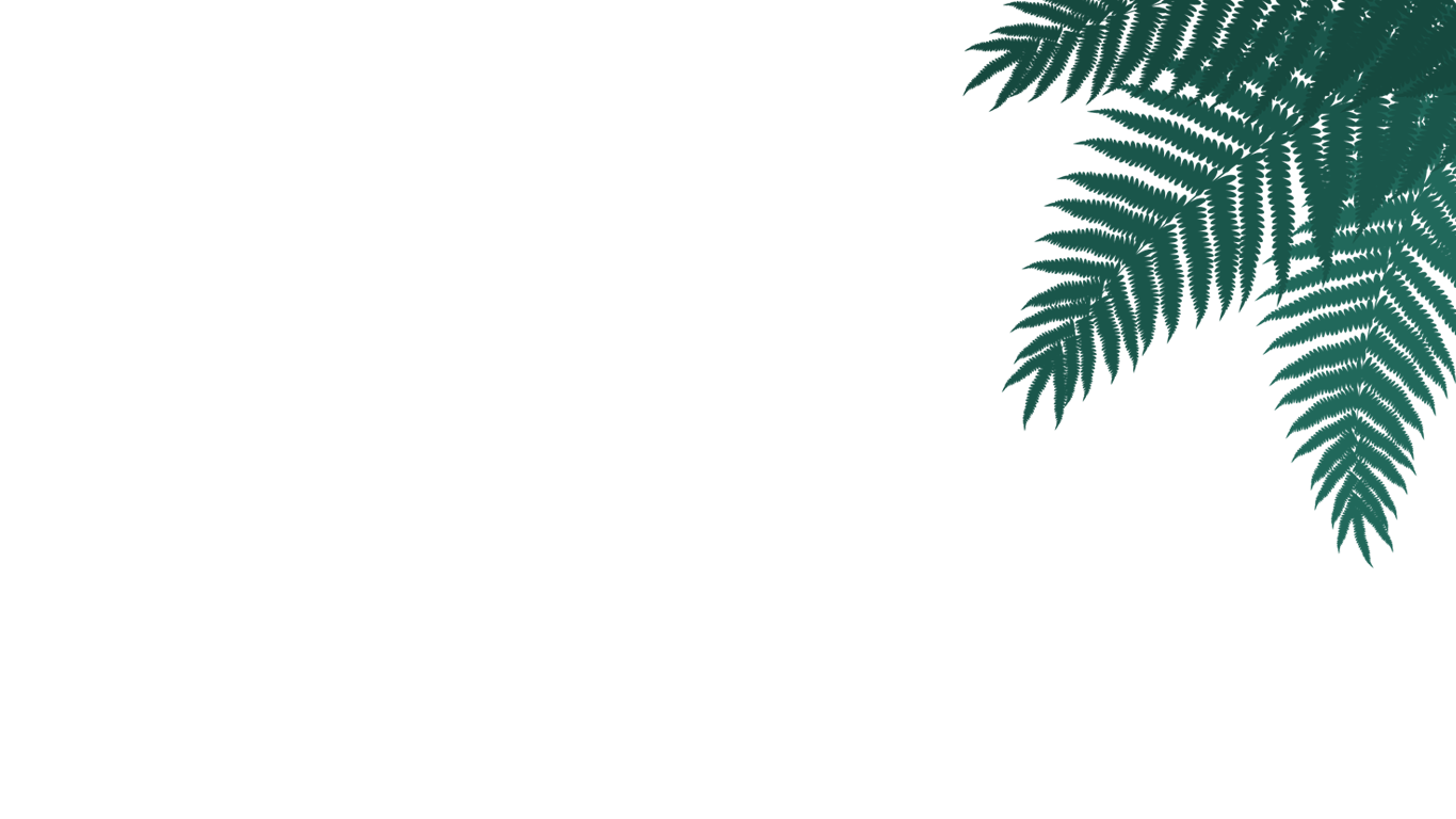 Parallax Scrolling Website | Codehal