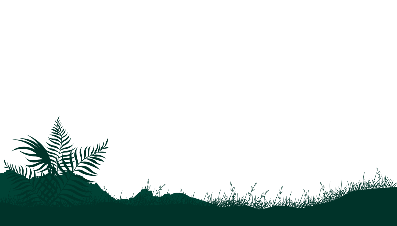 Parallax Scrolling Website | Codehal